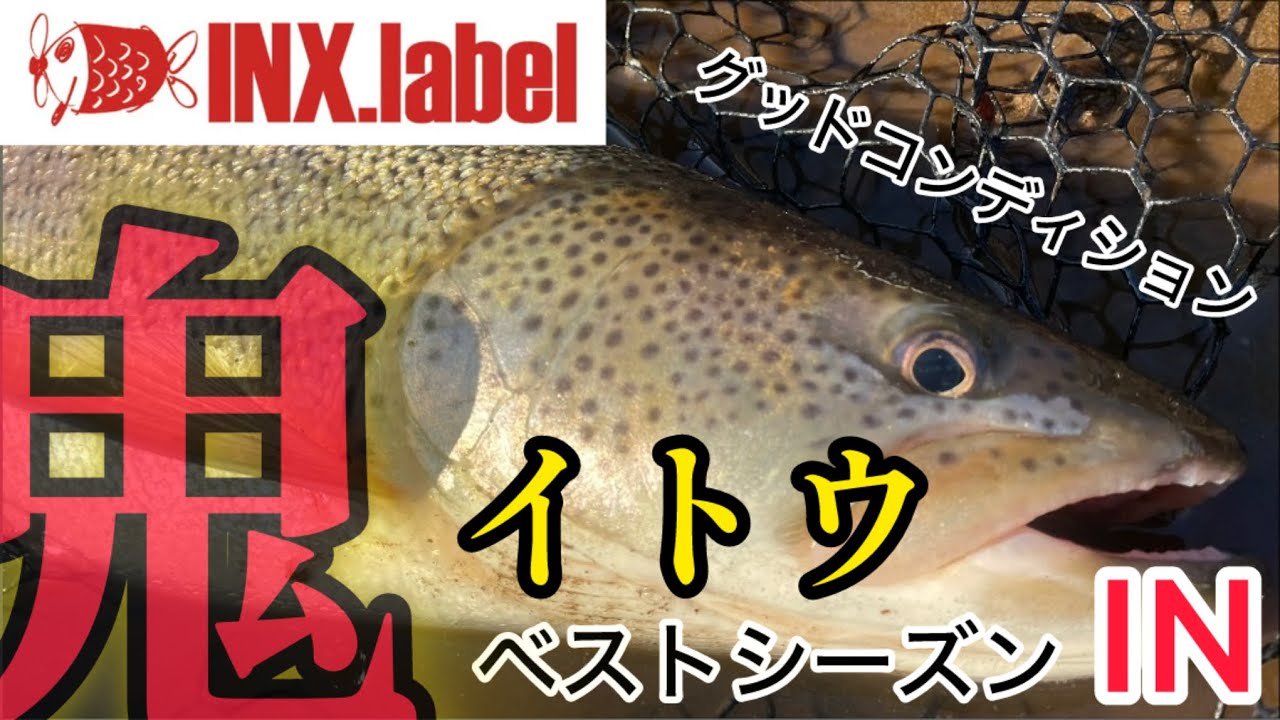 【北海道 釣り 鬼19】イトウ釣り ベストシーズンIN