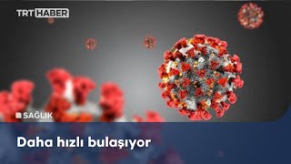 Hindistan Mutasyonu Ne Kadar Tehlikeli?