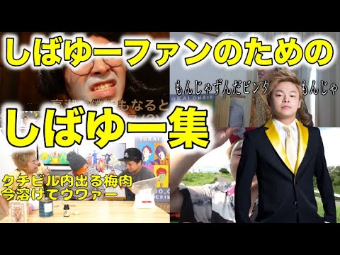 しばゆーファンのためのしばゆー集【東海オンエア】