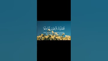 سورة الأنعام الآية ( 91 )                           Surat Al-An'am, verse (91)