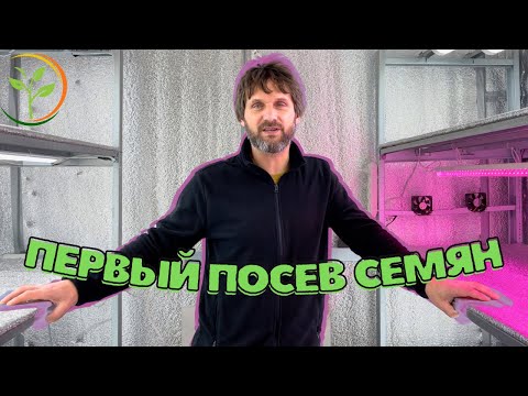 Видео: СИТИ ФЕРМА, выращивание микро зелени на дому, бизнес на микро зелени с нуля. Посадка семян