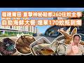 【福建莆田自駕遊🚗】直擊神秘鞋都莆田🏙️初印象極大反差?$260平住高質全季酒店🏨晚市48折瘋狂擦活蝦大鮑魚🦀 自助海鮮大餐埋單只係170蚊抵到爛💰Exploring the Putian City🔔
