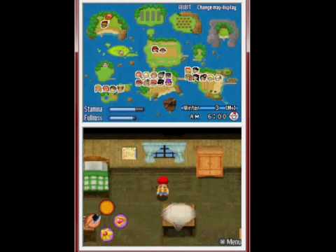 Harvest Moon: Sunshine Islands - Winter 3, Year 1 ...