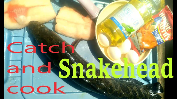 Catch and cook. Maryland snakehead fish fry. Delicious!! Do $1 buzz baits from Wal-Mart work?