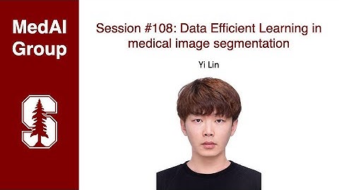 MedAI #108: Data Efficient Learning in medical image segmentation | Yi Lin