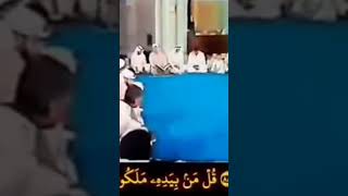 فضيلة الشيخ /محمد محمود الطبلاوي عليه رحمه الله اللهم لك الحمد كما ينبغي لجلال وجهك وعظيم سلطانك