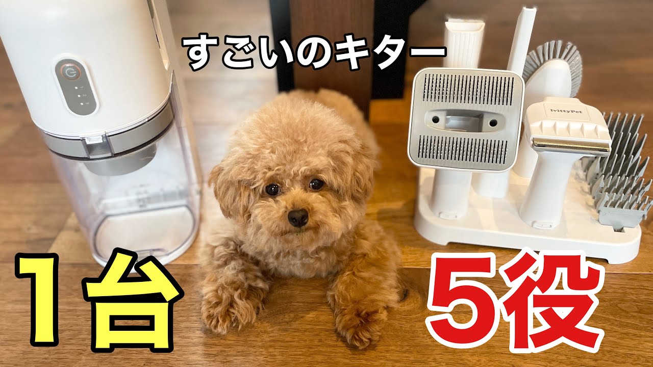 PETKIT 5 in 1 多機能バリカン 犬猫用 10%オフ【PETKIT】 グルーミング