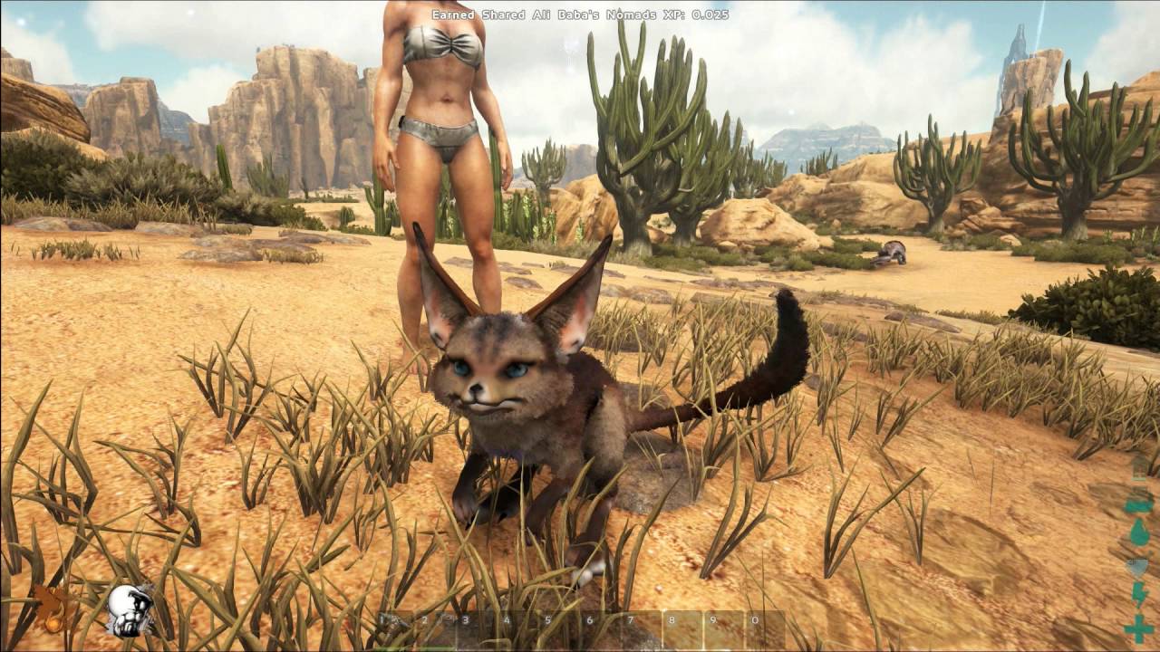 Desert Tales
