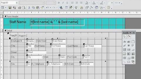 Access - Forms Tab Control Page
