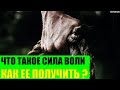 Что такое сила воли и как ее получить?