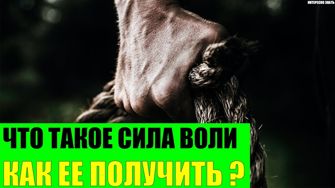 Что такое сила воли и как ее получить?