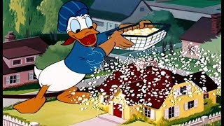ᴴᴰ Donald Duck \& Nephews Cartoon Classics- Best New Collection #11