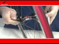 FULCRUM Racing 5 -  Complete Hub Overhaul - Manutenzione mozzo