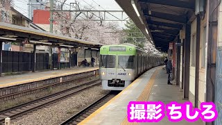 【桜満開】京王井の頭線 京王1000系1782F  急行 渋谷行き  井の頭公園駅 通過シーン