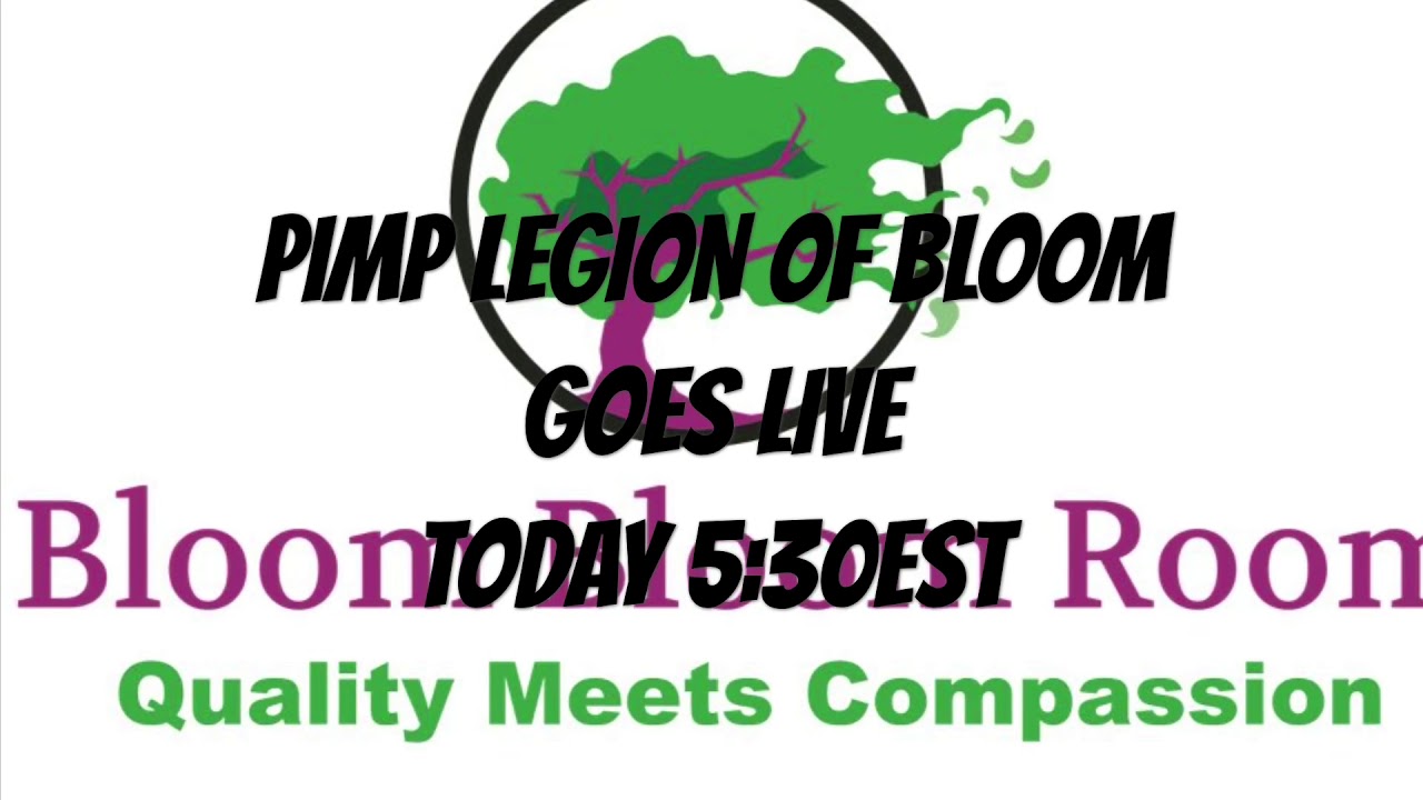 PIMP LEGION OF BLOOM LIVE