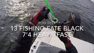 13 Fishing Fate Black Rod Test! 