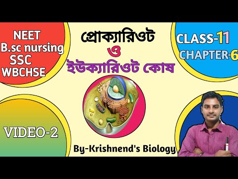 prokaryotic and eukaryotic cell in Bengali / Class-11/ প্রোক্যারিওটিক ও ইউক্যারিওটিক কোষের পার্থক্য