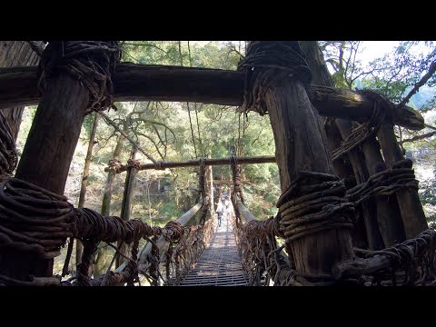 2025 04 09 祖谷のかずら橋