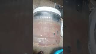 Haier Top Loading fully automatic washing machine HWM 150-826 internal Deep cleaning service at home