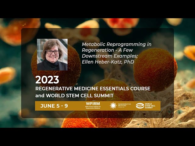 Metabolic Reprogramming in Regeneration - A Few Downstream Examples; Ellen Heber-Katz