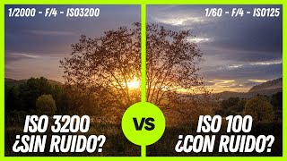 Desmitificando el ISO: La verdad detrás de fotos limpias a ISO3200 y con ruido a ISO100