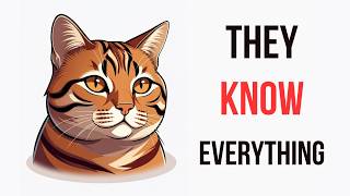 Your Cat Knows More Than You Think