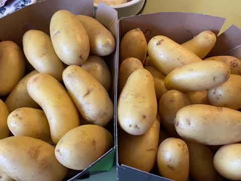 Video: Wie Man Herings-Kartoffel-Torte Macht