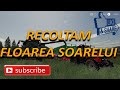 Farming Simulator 19 Recoltam floarea soarelui