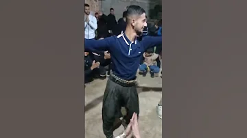 شطحة الاعراس الجزائرية 