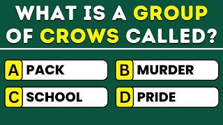 Can You Score 30 Out of 50 🤔 Take This General Knowledge Quiz!