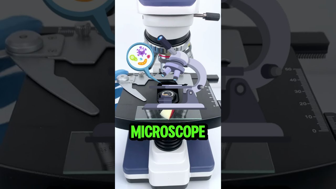 An Apple Under The Microscope