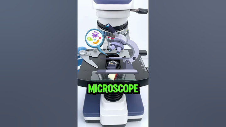 An apple under the microscope
