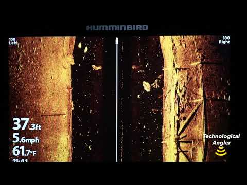 Humminbird Water Column Sensitivity - Side and Down Imaging