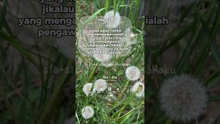 Story Wa Rohani Kristensia Sia By Maria Priscillamazmur 1271lagu Rohani Kristenlagu Rohani
