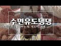 하품하는 강아지보며 5분내로 꿀잠 자자! 수면유도영상, 빗소리 | Deep Sleep with dog, insomnia, 432Hz, Rain Sounds