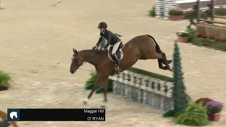 2019 Pennsylvania National Horse Show - Maggie HIl...