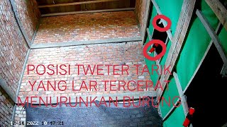 letak tweter di LAR mempengaruhi proses adaptasi BURUNG WALET anakan pertama kali