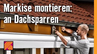 handyhülle schildkröte iPhone-Hülle mit Schildkrötenmotiv – Diving Specials Shop main image 0