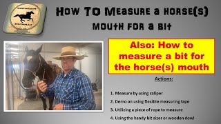 How To Measure A Horse(s) Mouth For A Bit Size