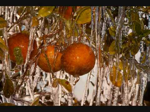 Orange Nights In Thomas Street by Laurence Neill (...