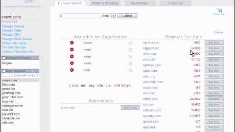 Navigating Domains.com