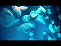 人生沿途风景01