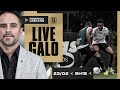 #LiveGalo​​​: treino e entrevista do diretor de Futebol Rodrigo Caetano