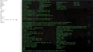1. Terminal Basics: bash & vi