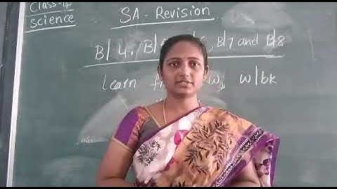 Date- 19/3/2021 Class- 4 Subject Science Revision