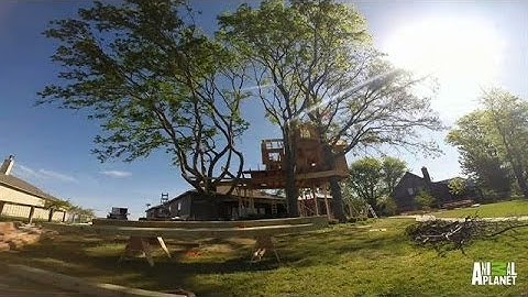 Time Lapse: Birds Nest Treehouse Build | Treehouse Masters