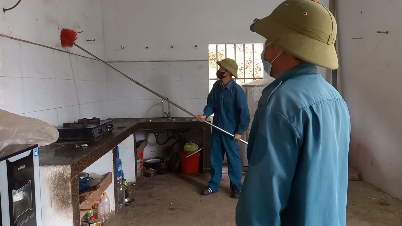 Dọn nhà đón Tết và thời tiết thay đổi lại ho @BÁCH NÙNG TV 