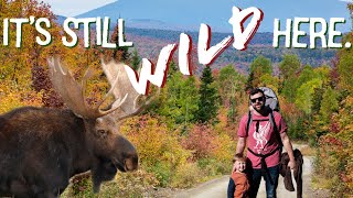 Explore Western Maine: Rangeley Lakes Region | Best Things To Do and See