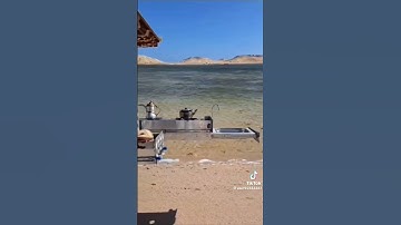 (التَّائِبُون العَابِدون الحَامِدُون السَّائِحون الرَّاكعون)تلاوة القارئ الشيخ ماجد العويري👍لايفوتكم