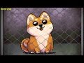 Shibo dog  virtual pet android  gameplay 